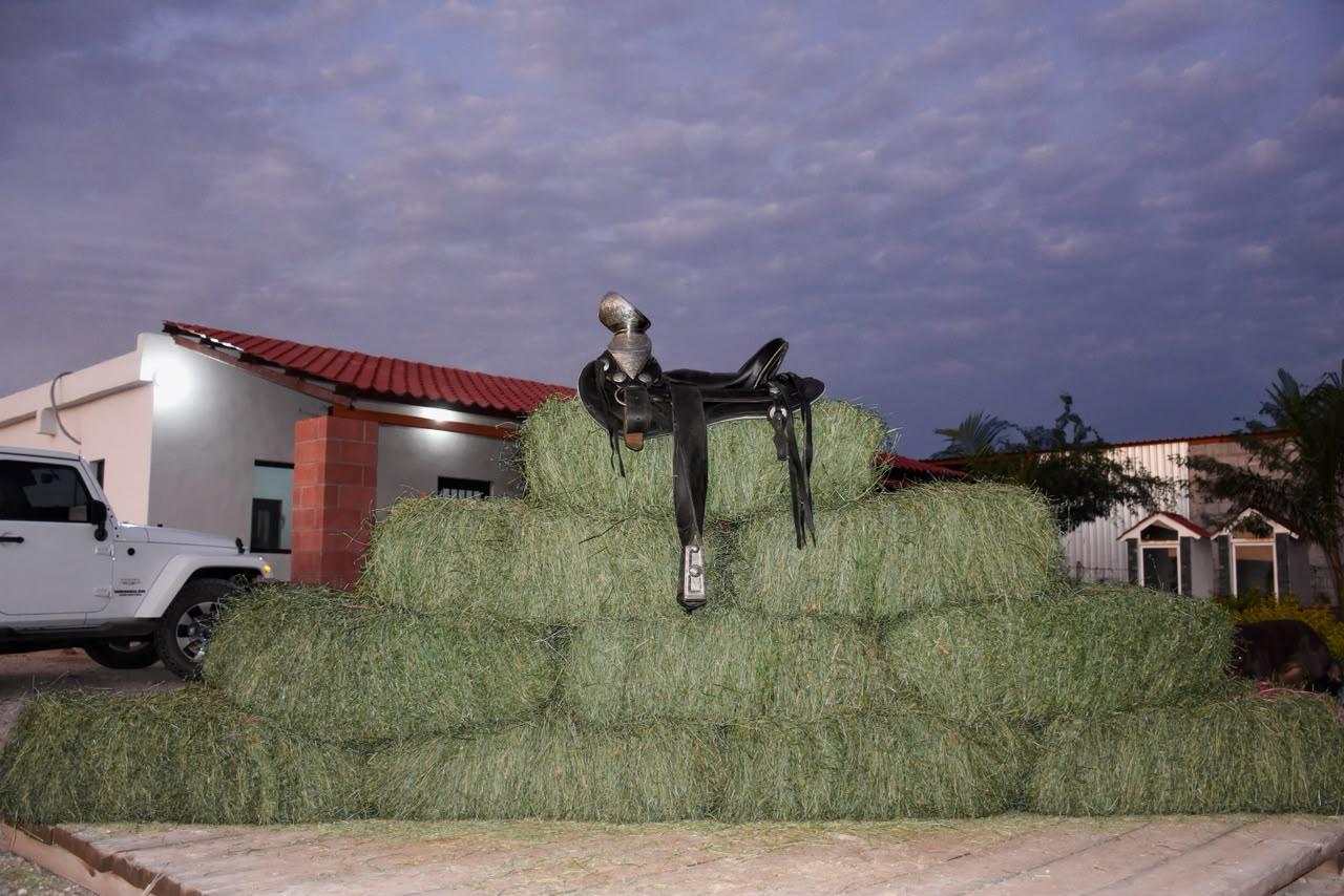 15 pacas de alfalfa